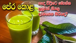 පේර කොළ කැද බීල තියනවද | Pera Kola Kanda Recipe by Kandyan Lifestyle