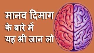 मानव दिमाग के बारे में यह भी जान लो, Know about human brain power in Hindi