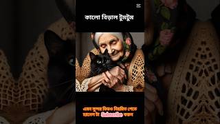 কালো বিড়াল টুমটুম। aj cat stories। #ai #cat #catlover #shortvideo #youtubeshorts #entertainment