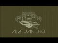 afrojack rock the house alejandro remix