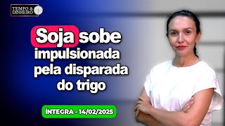 Soja sobe impulsionada pela disparada do trigo. Dólar ronda estabilidade. Chuvas intensas