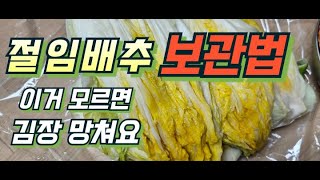 절임배추 보관은 이렇게! #해남절임배추