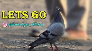 Playtube Pk Ultimate Video Sharing Website