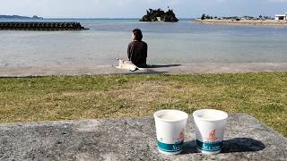 沖縄 恩納村 仲泊　シーサイドドライブイン　ランチタイム　（Lunch time at Seaside Drive-in, Nakadomari Onna Village, Okinawa）