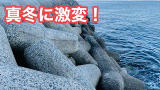 【真冬に激変？】極寒の怪物人工島！先週とはガラっと変わっていました。あまりの変わり様に唖然です【ショアジギング/飲ませ釣り】