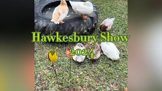 Exploring the Hawkesbury Show 2024 #hawkesburyshow #hawkesbury #nsw