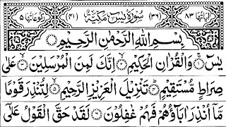 Surah Yaseen (yasin) full ¦ Ep-894)with Surah Rehman what Surah Mulk ki Tilawat Dale Quran Tilawat