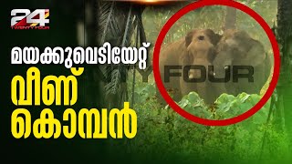 വെടിയേറ്റ കൊമ്പന്റെ ചികിത്സാ ദൗത്യം ആരംഭിച്ചു; താത്കാലിക റോഡ് നിര്‍മ്മിച്ച ശേഷം എഴുന്നേല്‍പ്പിക്കും