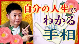 手相【自分の人生がわかる】自分の人生がわかる手相おしえます『島田秀平のお開運巡り』