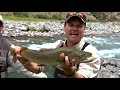 IFISH Owen River Lodge Wild Brown Trout NZ