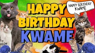 Happy Birthday Kwame! Crazy Cats Say Happy Birthday Kwame (Very Funny)