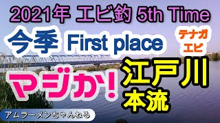 【江戸川】手長エビ 江戸川本流へ挑戦 一昨年の台風の影響あるのか？