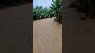 Temporal atinge bairro Pedra D’Amolar em Corupá