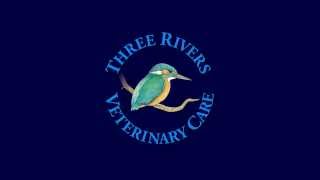 Three Rivers Vets