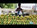 களமிறங்கும் ’மோடி மாம்பழம்’ – என்ன special new mango variety pm modi news7 tamil agri