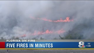 SR 54 reopened as Pasco County firefighters contain suspicious brush fires