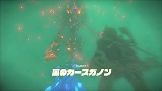 ブレスオブザワイルド　DLC2ボス　風のカースガノン戦