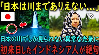 【海外の反応】「日本の川は異常すぎる...」インドネシア人観光客が日本の川の光景を見た瞬間、驚愕した理由とは【総集編】