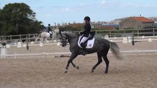 Isabelle Judet, juge internationale 5*, commente et note un Saint Georges