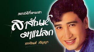 เพลงดีที่ตามหา | สายัณห์..มาแปลก - สายัณห์ สัญญา