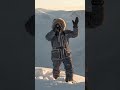 arctic fox trapped in an avalanche – a breathtaking escape