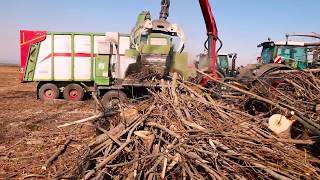 PTH 1200/1000 G Pezzolato drum wood chipper powered by PTO tractor FENDT VARIO 400 Hp