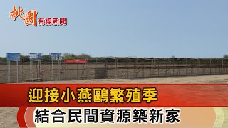 桃園有線新聞20230419-迎接小燕鷗繁殖季 結合民間資源築新家