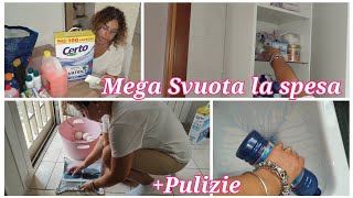 Mega Svuota la spesa Detersivi +Pulizie 💪🫧🫧#puliziemotivazionali #pulisciconme #svuotalaspesa