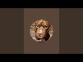 King the Red Nose Pitbull is live!