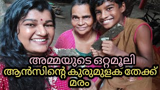 ആൻസ് പരിചയപ്പെടുത്തുന്ന അത്ഭുത മരവും അമ്മയുടെ ഒറ്റമൂലിയും. ||BinduZzDreamZz