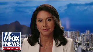 Tulsi Gabbard This Interview Was Massively Hyped Up
