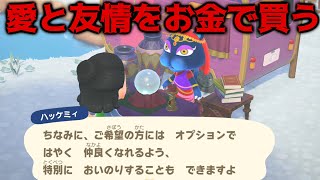 【あつ森】愛や友情をお金で買う！？ハッケミィの占いによる効果がヤバすぎるｗｗ【あつまれどうぶつの森】