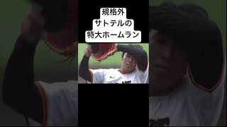 【規格外】佐藤輝明の特大ホームラン オープン戦第1号 #プロ野球 #佐藤輝明 #Shorts