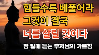 베풀수록 풍요롭고, 절제할수록 자유롭다 l명상 l 불교철학 l 오디오북 l 부처님명언 l ASMR