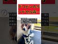 大谷の愛犬デコピンが背負うランドセル、再販売決定！ short