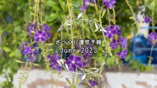 【ざっくり運気予報】2023年6月6日*今日は、やりたい事は後にしよう