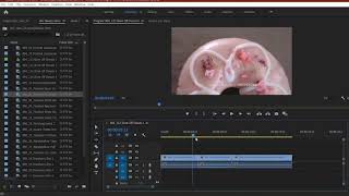 Adobe Premier trailer editing