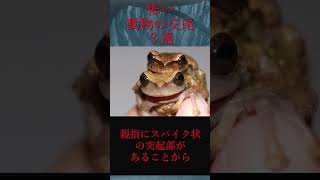 【ゆっくり解説】おぞましい生物の交尾