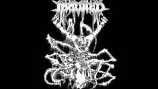 Immured -  Eye Of Blackness