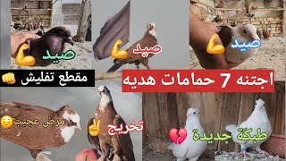 صيد 3 هاترك 💪وتخريج ✌️واجتنه 7حمامات هديه☺️وطبكة 🌹هذا المقطع تفليش 👊لوزينه المقطع😁