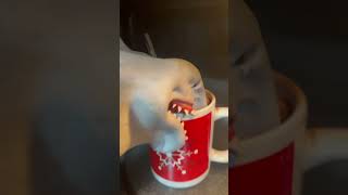 HOW TO MAKE HOT CHOCOLATE WITH SHARK PUPPET