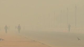 New Delhi has world's most toxic air