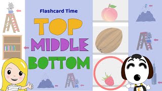 A Fun Way to Learn TOP, MIDDLE, BOTTOM Concept for Kids | Flashcard Time