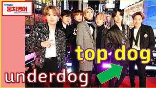 영어로 BTS 대화와 영작할 때 꼭 필요한 뭉치단어 (ft. BTS, 영어공부, top dog, an underdog story, 11분 순삭, CNN)