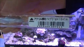 底面生活の魚のえさやり方法