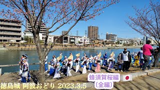 🇯🇵【阿波おどり】(全編)蜂須賀桜編 2023Awa Odori.徳島城阿波おどりプレイベント2023.3.5(徳島中央公園)娯茶平連.ほんま連.阿波扇.蜂須賀連.えびす連.あおい連.すいきょう連