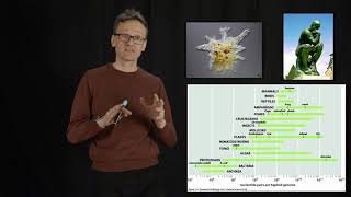 Lecture 01, concept 08: Size of genomes in bases \u0026 protein genes