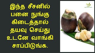 நுங்கு சாப்பிட்டால் இத்தனை நோய்கள் தீருமா? | Palmyra fruit health benefits in tamil