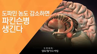 도파민 농도 감소하면 파킨슨병 생긴다 - (2011.1.15_358회 방송)_신년 특집, 뇌 안에 숨겨진 행복의 비밀 - 제2편 도파민