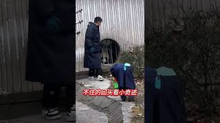 歌曲最好的朋友 小奇迹和新奶爸太可爱了 不知道小奇迹和新奶爸说了什么 新奶爸害羞的笑了一脸腼腆~小奇迹乐的嘎嘎的  太温馨可大熊猫小奇迹万物皆有灵来这吸熊猫 萌宠出道计划 @我是小隆 @林先@小拽熊